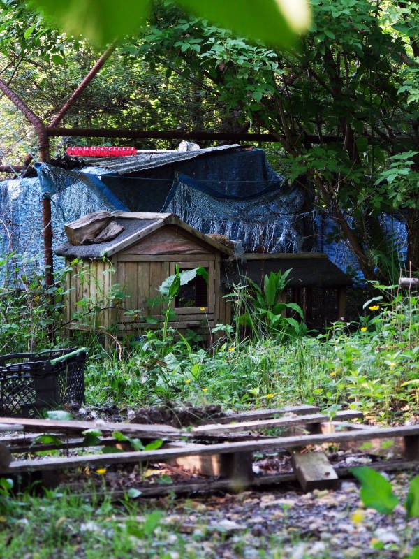 Gallery chicken hut