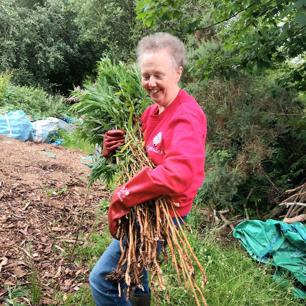 womam and twigs